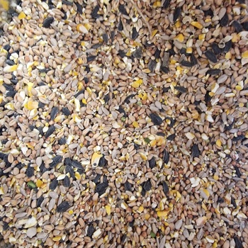 Luxury Wild Bird Seed