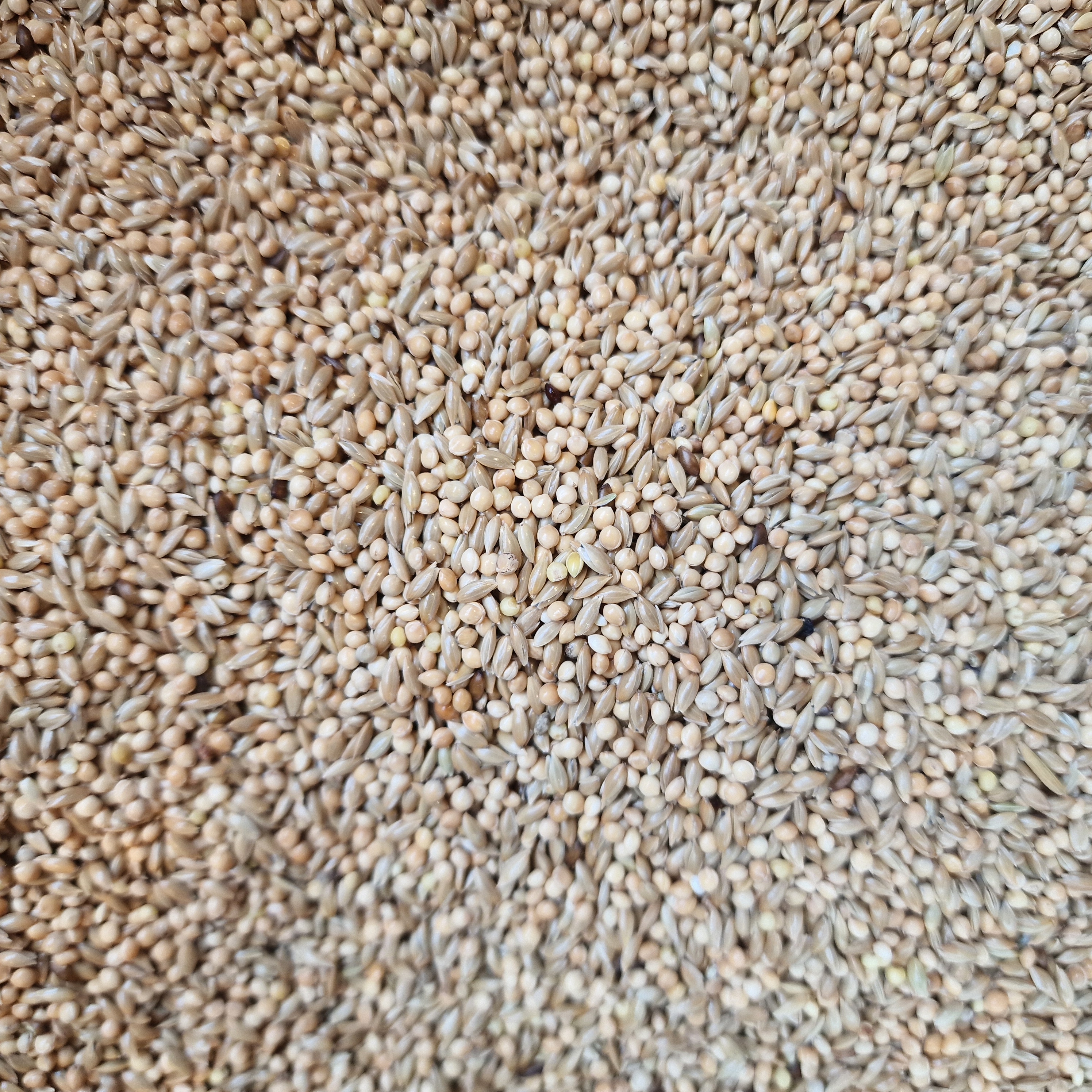 Budgie Seed Mix