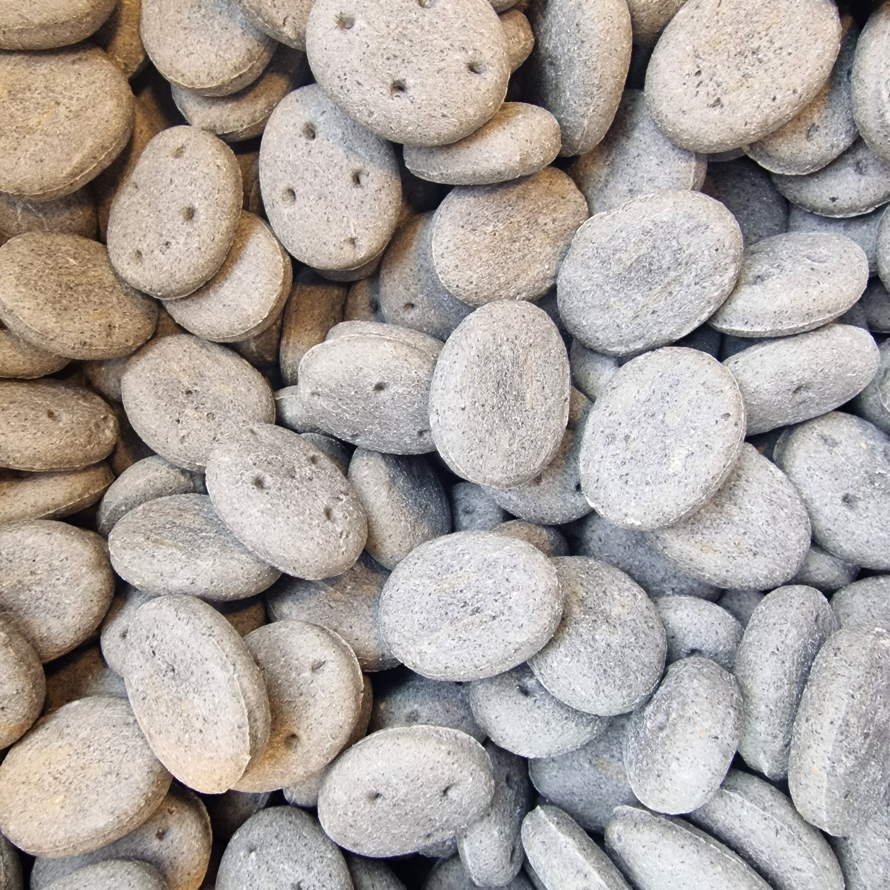 Pointer Cobs with Charcoal Dog Biscuits