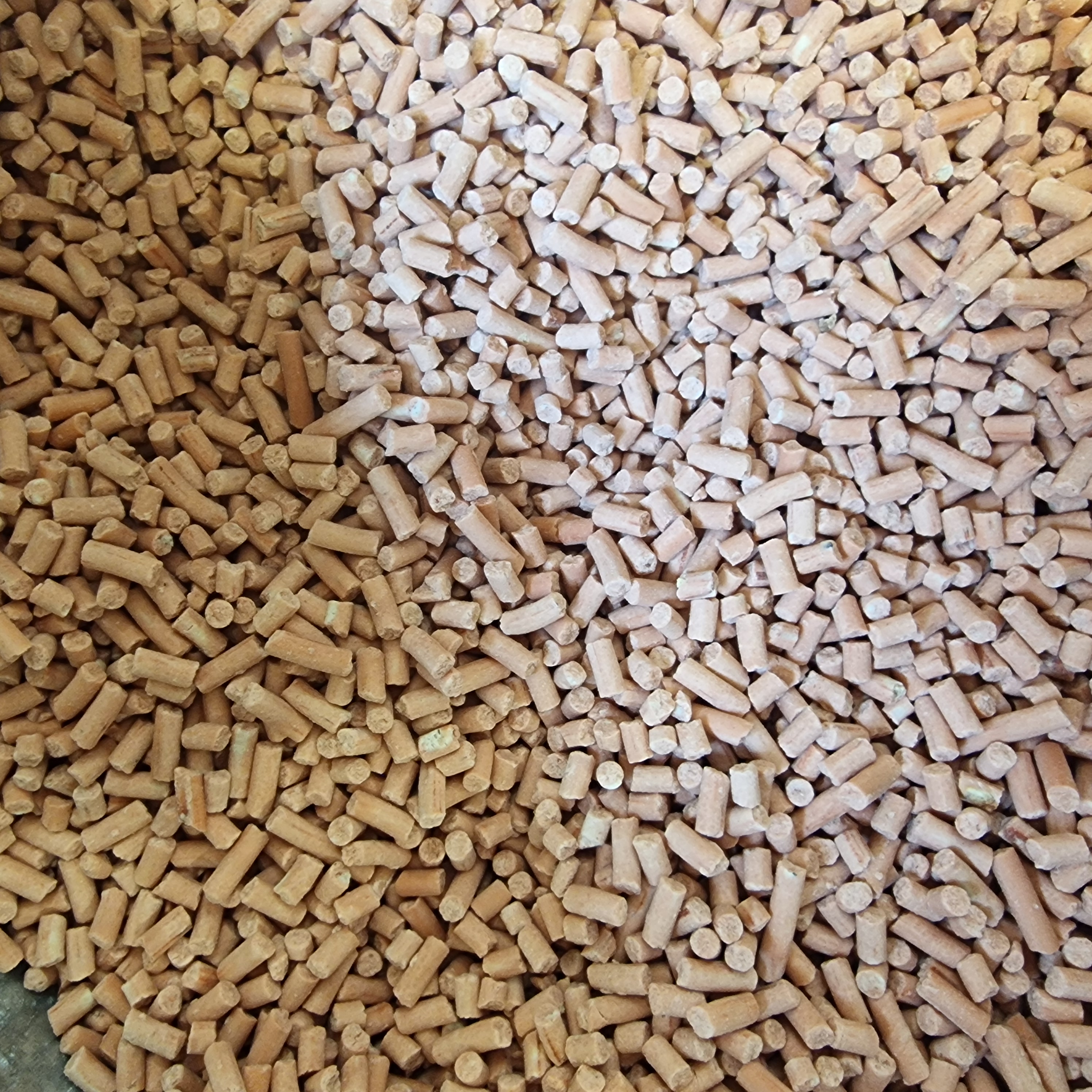 Berry Suet Pellets