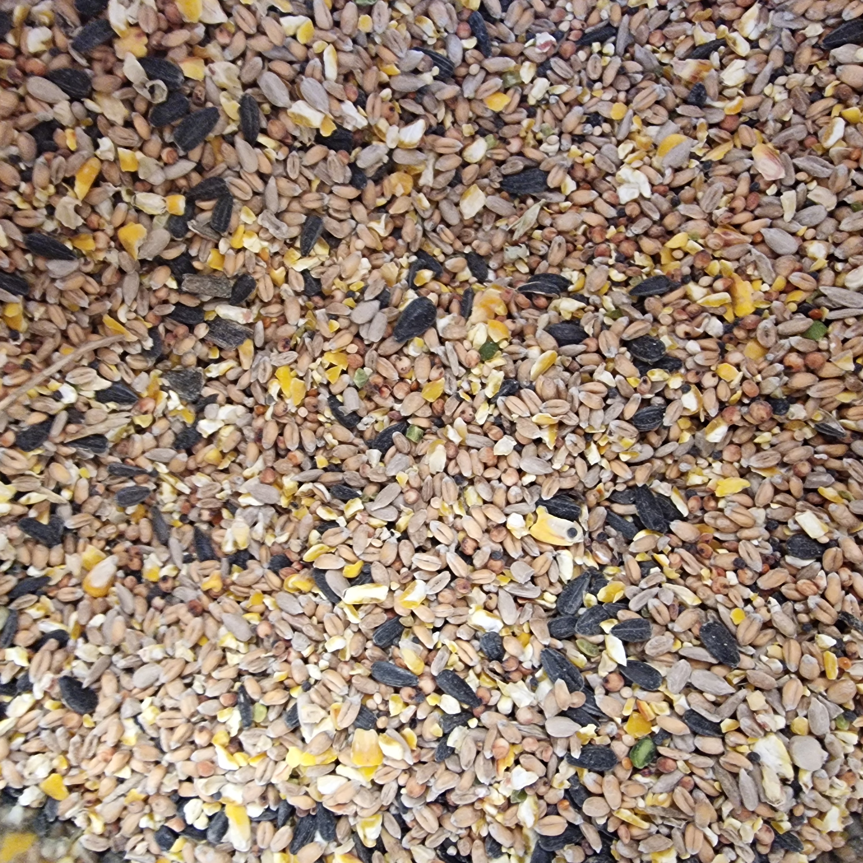 Luxury Wild Bird Seed